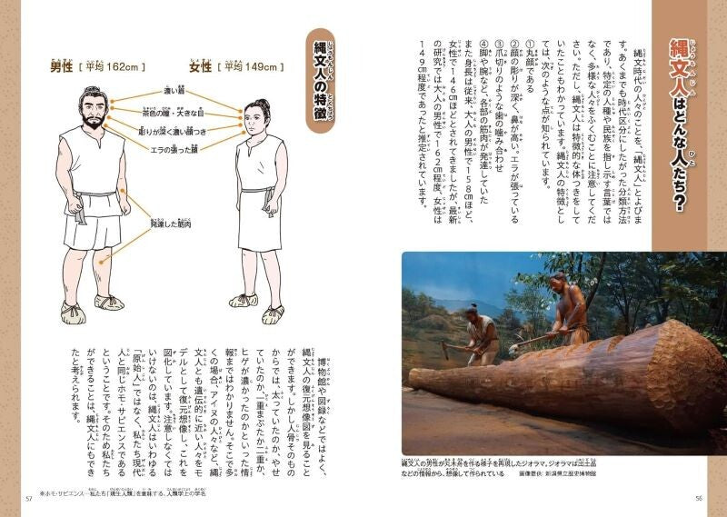 【新品】楽しく学べる歴史図鑑 土偶 定価1,800円