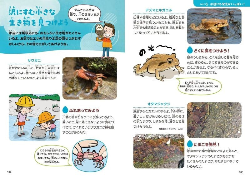 【新品】森の演出家ツッチーの自然あそびハンドブック 定価1,800円