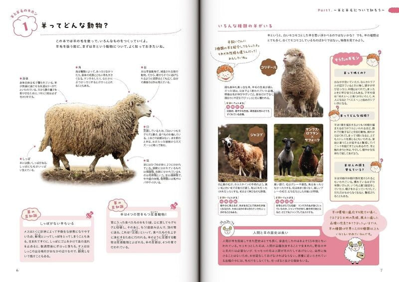 【新品】おもしろい羊毛の本 糸紡ぎ・フェルト・編み物・織り物ができる! 定価3,000円