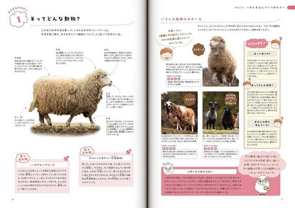 【新品】おもしろい羊毛の本 糸紡ぎ・フェルト・編み物・織り物ができる! 定価3,000円