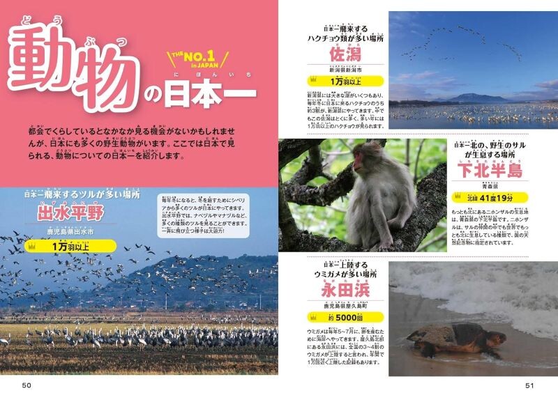 【新品】日本全国なんでもナンバーワン図鑑 いろいろなジャンルの日本一が大集合! 定価3,000円